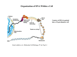 Nature Rev.Mol.Cell Biol