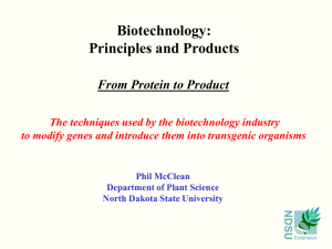 Biotechnology: Principles and Products