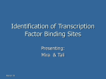 Identification of Transcription Factor Binding Sites