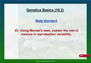 Genetics Basics Notes (10.2)