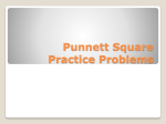 Punnett Square Practice Problems