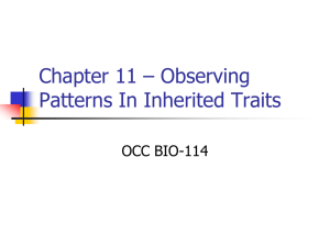 Ch.11 GeneticsOCC - OCC