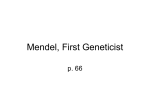 Mendel was devoted, persistent, and patient. He was also devoted