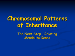 Chromosomal Basis of Inheritance