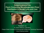 Determination of the flavin mono