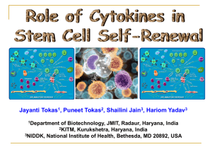 Role of Cytokines in Stem Cell Self