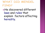 What Did Mendel Find?