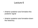 Lecture 6