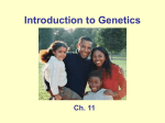 Genetics - Fort Bend ISD