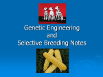 Selective Breeding