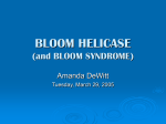 BLOOM HELICASE (and BLOOM SYNDROME)