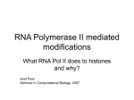 RNA Polymerase II mediated modifications