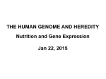 2) Overview of the human genome
