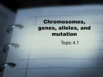 Chromosomes, genes, alleles, and mutation