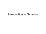 Human Genetics