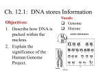Ch. 12.1: DNA stores Information