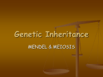 geneticinheritance
