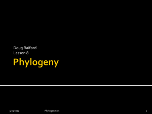 Lesson08Phylogenetics