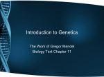 Introduction to Genetics