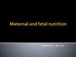 2_Maternal and fetal nutrition