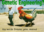 6.5 Genetic engineering - science