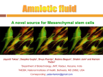 A novel source for Mesenchymal stem cells