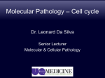 4. Molecular Pathology – general principles - UQMBBS-2013