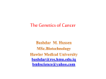 The Genetics of Cancer
