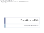 From gene to protein 2