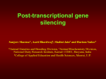 Transcriptional gene silencing