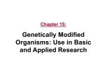 Genetically Modified Organisms: Use in Basic and Applied