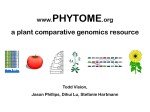 Phytome intro and demo: lab meeting, Sept 13, 2004