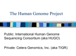 Comparative Genomics