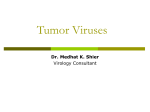 Tumor Viruses