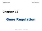 Gene Regulation - Biology Junction