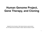 Human Genome Project, Gene Therapy, and Cloning