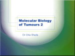 Molecular-Biology-of-Tumours