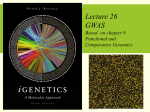 Transcriptional Expression Analysis