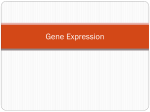 Gene Expression - houstonisd.org