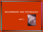 Molecular Cloning Methods