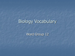 Biology Vocabulary