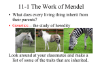 11-1 The Work of Mendel