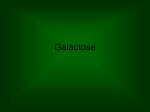 Galactose