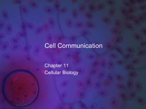 Cell Structure and Function