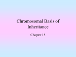 Chromosomal Basis of Inheritance