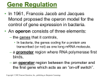 Gene Regulation