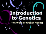 Introduction to Genetics PP