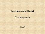 Carcinogenesis1