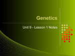 Intro to Genetics