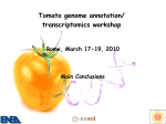 Tomato genome annotation